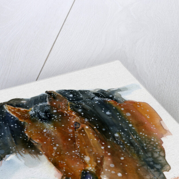 Horses in Winter, 2015 by John Keeling