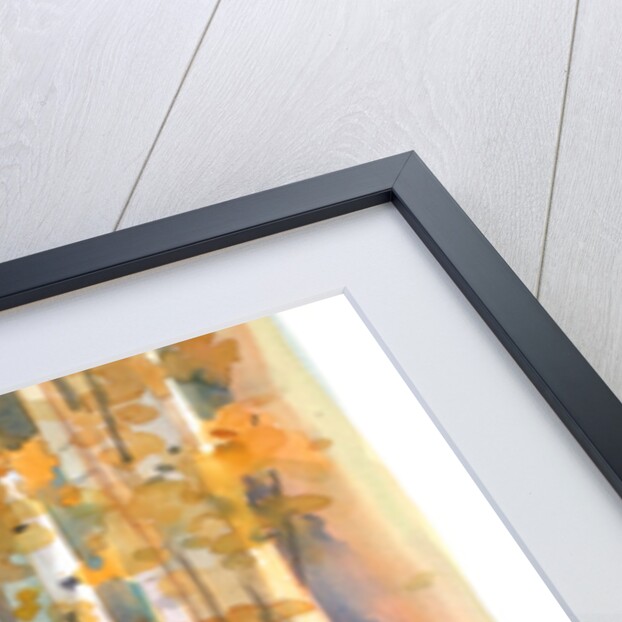 Birches in Autumn, 2013 by John Keeling