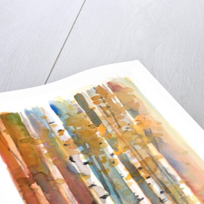 Birches in Autumn, 2013 by John Keeling