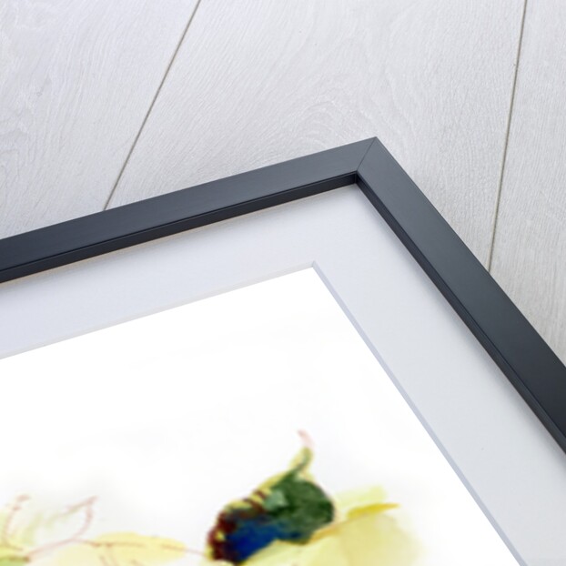 White Poinsettia, 2014 by John Keeling