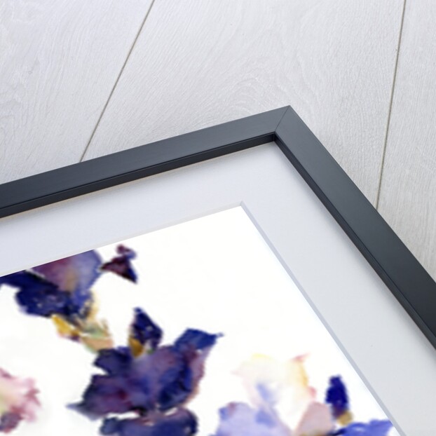 Iris, 2014 by John Keeling