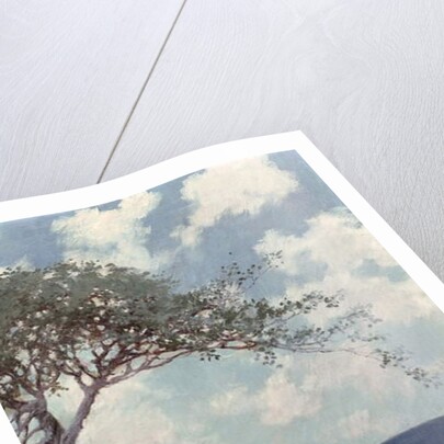 Island of Enchantment by Howard Pyle