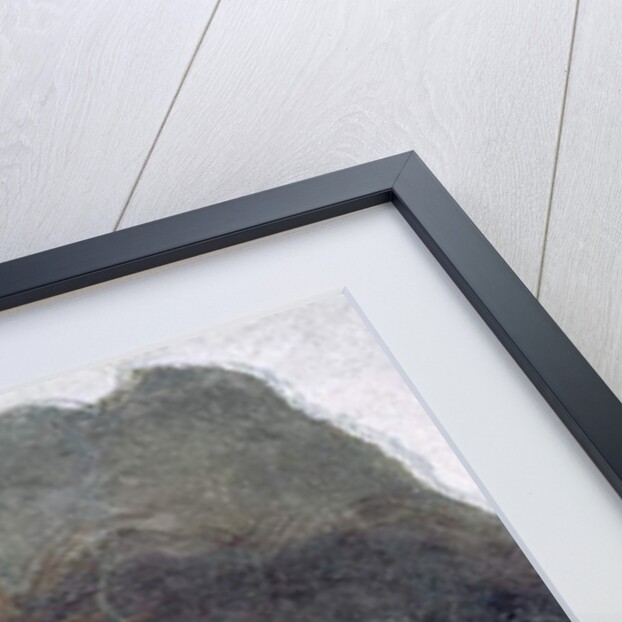 The Head of St. John the Baptist, fragment from a fresco by Bernardo Strozzi