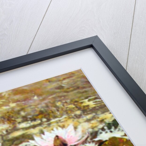 Lilies in Melbourne gardens, 2012 by Mary Smith