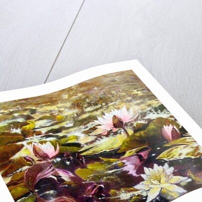 Lilies in Melbourne gardens, 2012 by Mary Smith