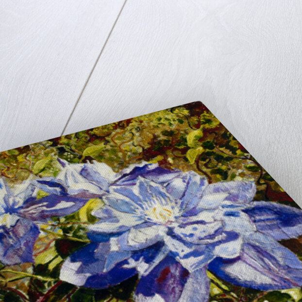 Clematis, 2015 by Mary Smith