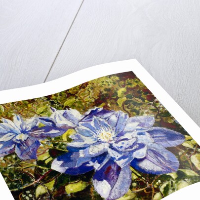 Clematis, 2015 by Mary Smith