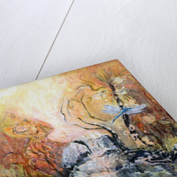 Dragonflyapproaching by Mary Smith