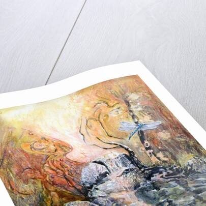 Dragonflyapproaching by Mary Smith