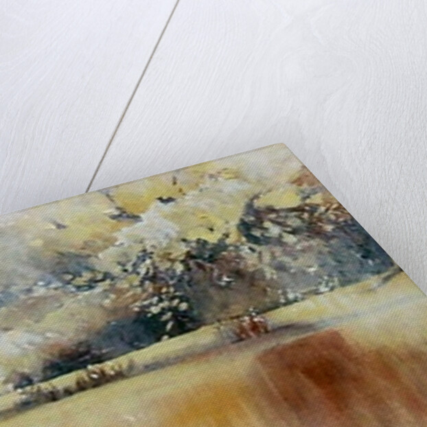 Melbourne gardens in winter, 2011 by Mary Smith