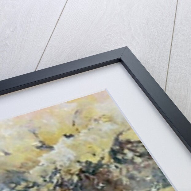 Melbourne gardens in winter, 2011 by Mary Smith