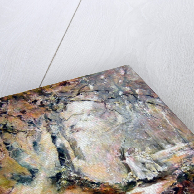 Piper of dreams, 2009 by Mary Smith