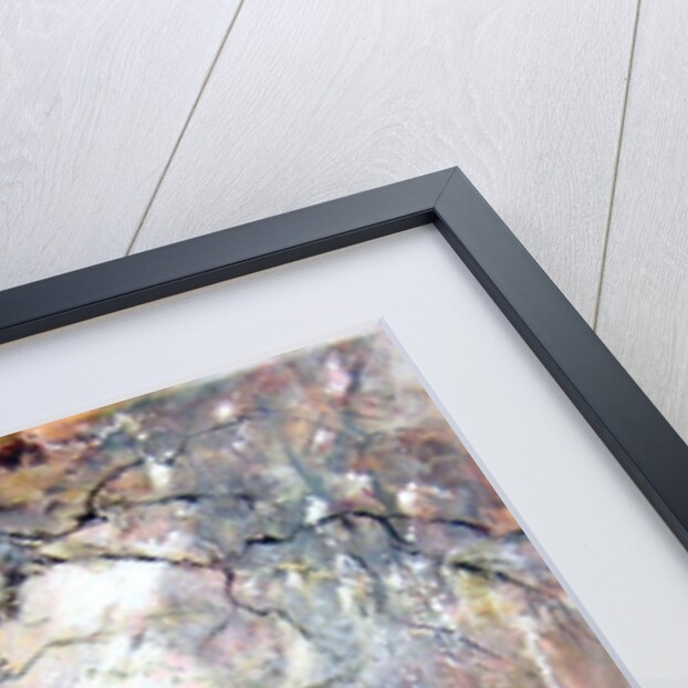 Piper of dreams, 2009 by Mary Smith