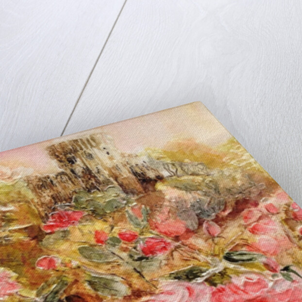 Roses in Windsor gardens, 2016 by Mary Smith