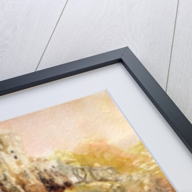 Roses in Windsor gardens, 2016 by Mary Smith