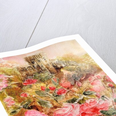 Roses in Windsor gardens, 2016 by Mary Smith