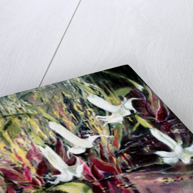 Daturas in Monet's Garden, 2013 by Mary Smith