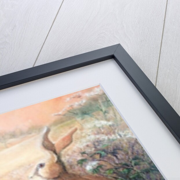 Hares at dawn, 2016 by Mary Smith