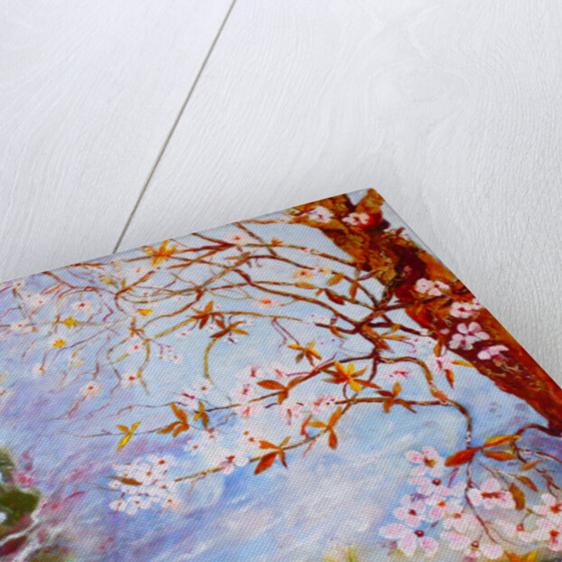 Blossom in Darley park, 2015 by Mary Smith