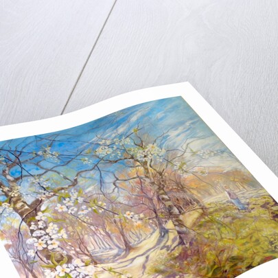 Walking through the blossom, 2017 by Mary Smith