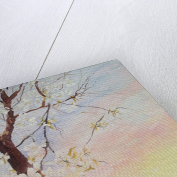 white cherry blossom, 2017 by Mary Smith