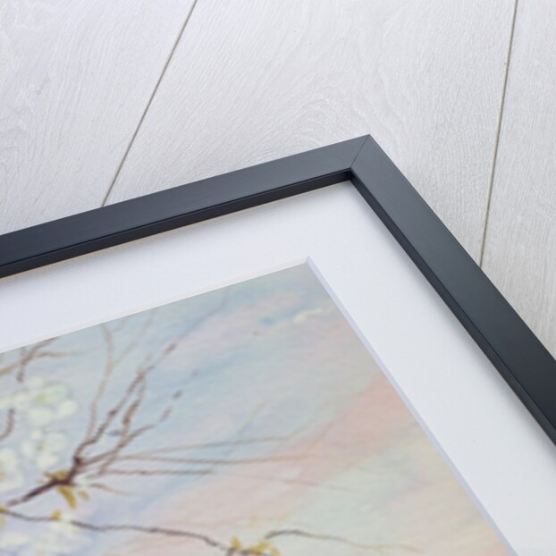 white cherry blossom, 2017 by Mary Smith