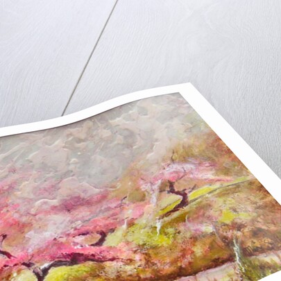 almond blossom in the mountains, 2017 by Mary Smith