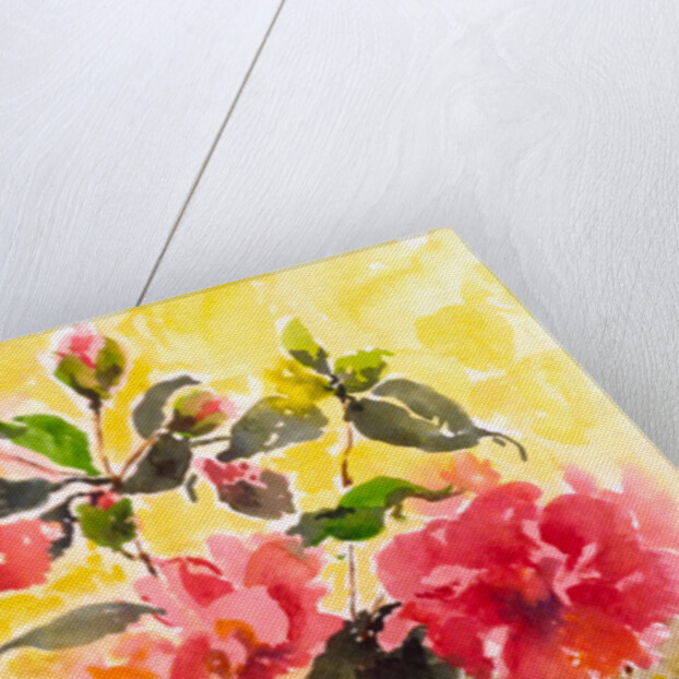 Camelias, 2017 by Mary Smith