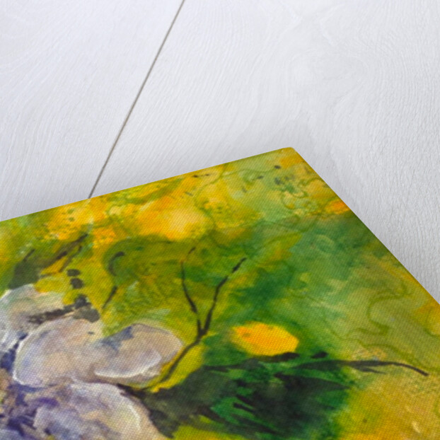 clematis in the evening sun, 2017 by Mary Smith