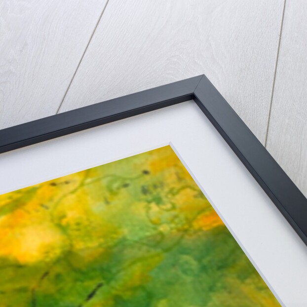 clematis in the evening sun, 2017 by Mary Smith