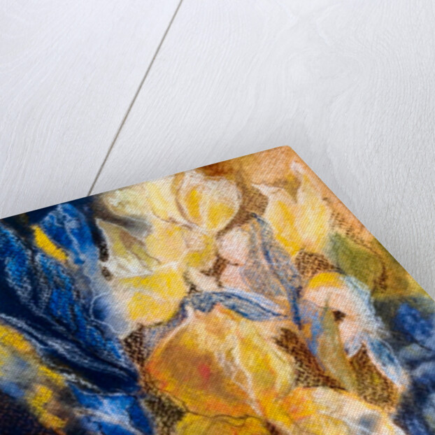 gold and blue iris, 2017 by Mary Smith