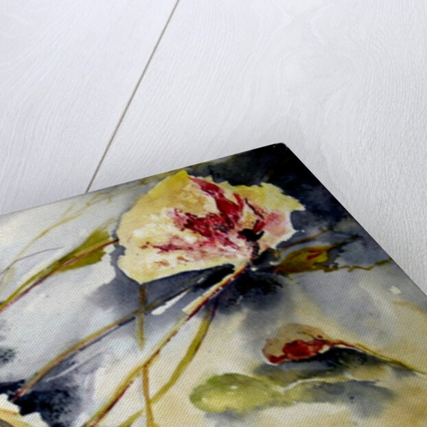 lily leaves drifting, 2017 by Mary Smith