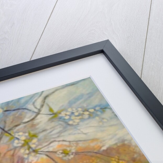 Spring walk under the blossoms, 2017 by Mary Smith