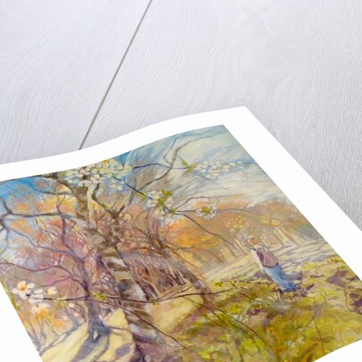 Spring walk under the blossoms, 2017 by Mary Smith