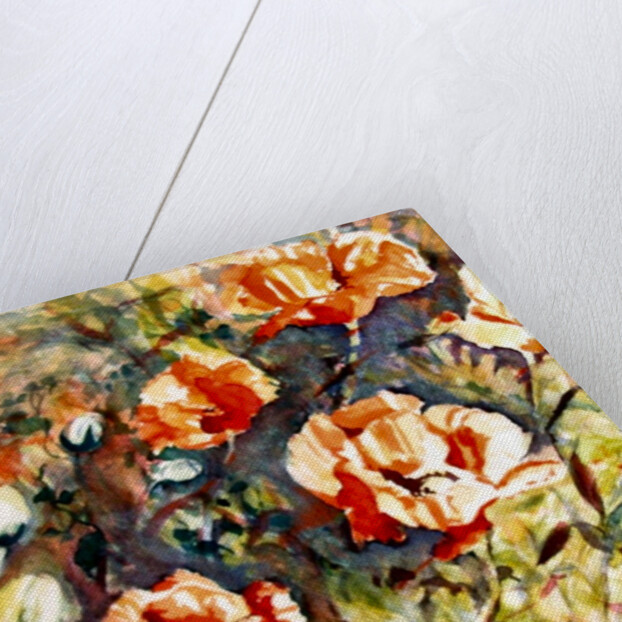 Poppies in the border, 2017 by Mary Smith