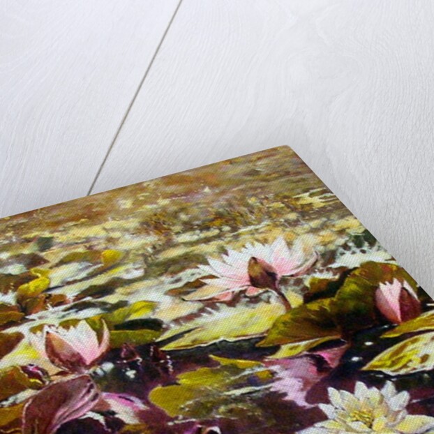 Lilies in Melbourne gardens by Mary Smith