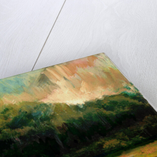 Oakridge Woods 2015 by David McConochie