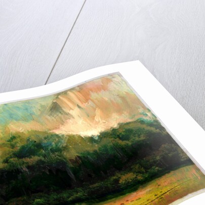 Oakridge Woods 2015 by David McConochie