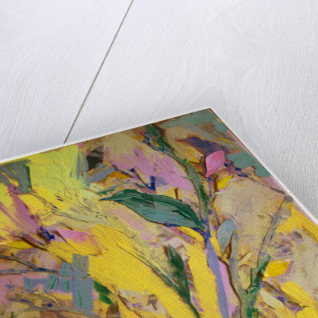 Starlings, 2017 by David McConochie