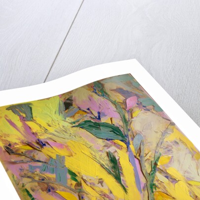 Starlings, 2017 by David McConochie