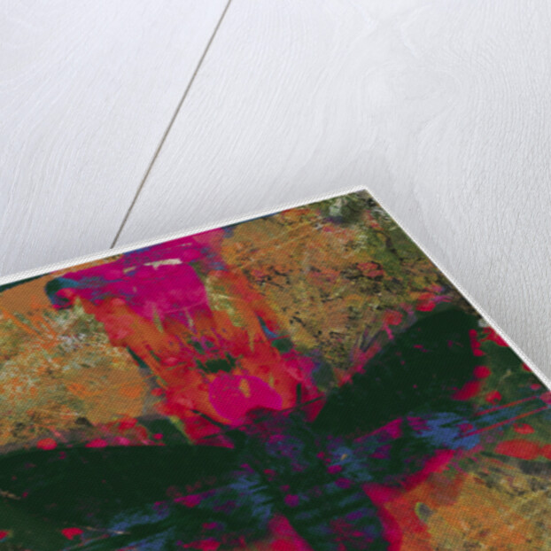 Death Moth Collage, 2016 by David McConochie