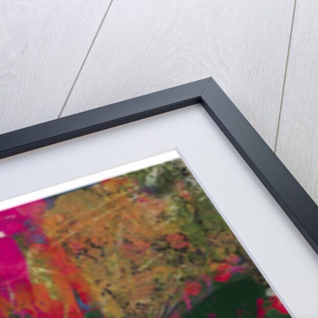 Death Moth Collage, 2016 by David McConochie