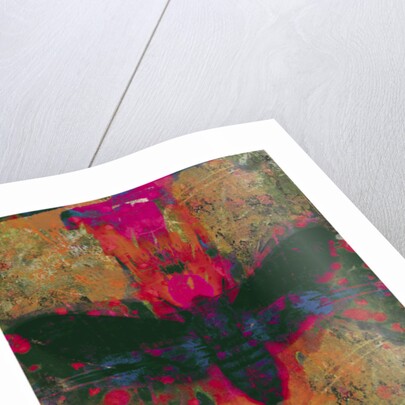 Death Moth Collage, 2016 by David McConochie