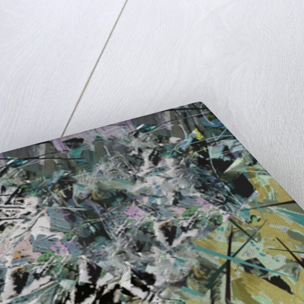 Tanglewood, 2017 by David McConochie