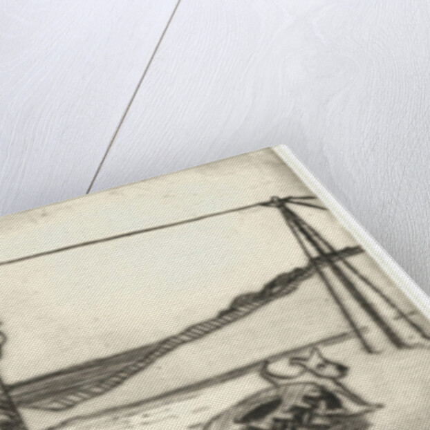 El Bar Tropical, 2009 by Thomas MacGregor