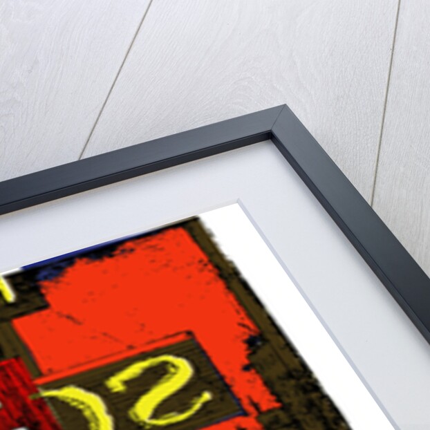 Boids, 2009 by Thomas MacGregor