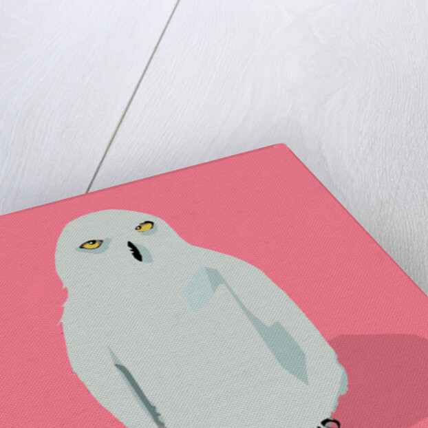 Owl, 2017 by Thomas MacGregor