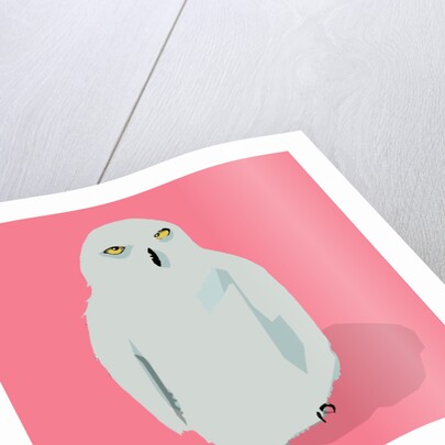 Owl, 2017 by Thomas MacGregor