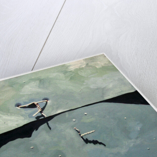 Gate, 2009 by Thomas MacGregor