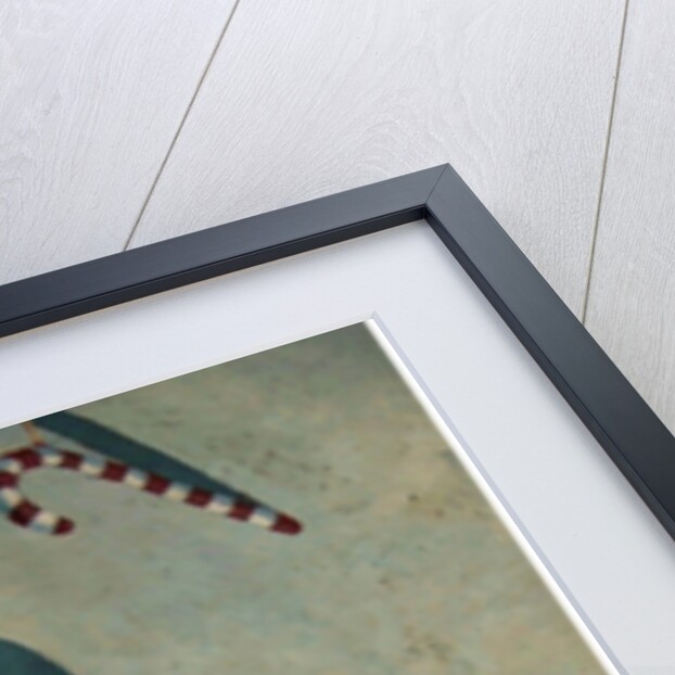 Kenny, 2005 by Thomas MacGregor